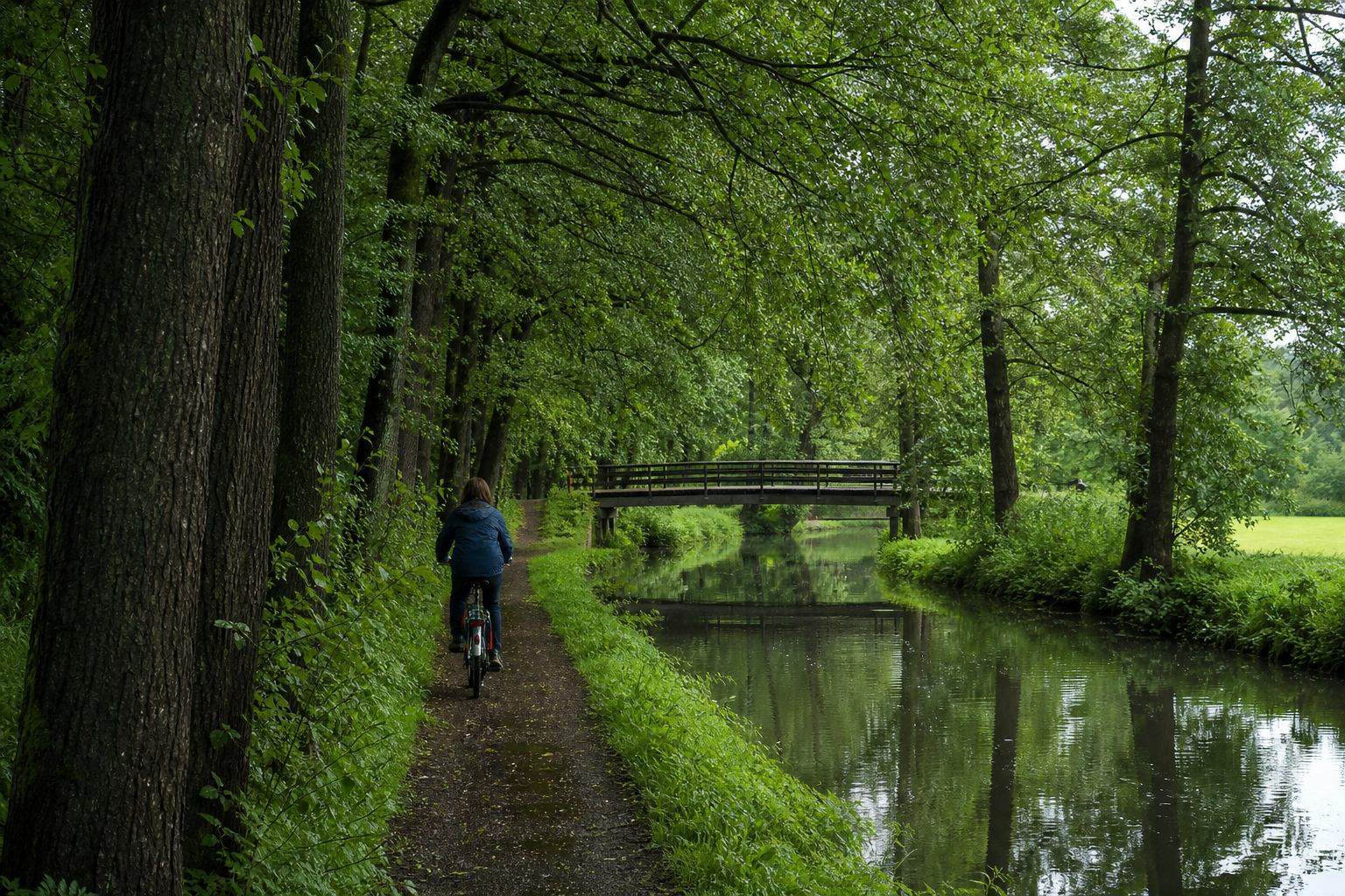 Fahrradweg entlang eines Spreewaldkanals unter Erlen
